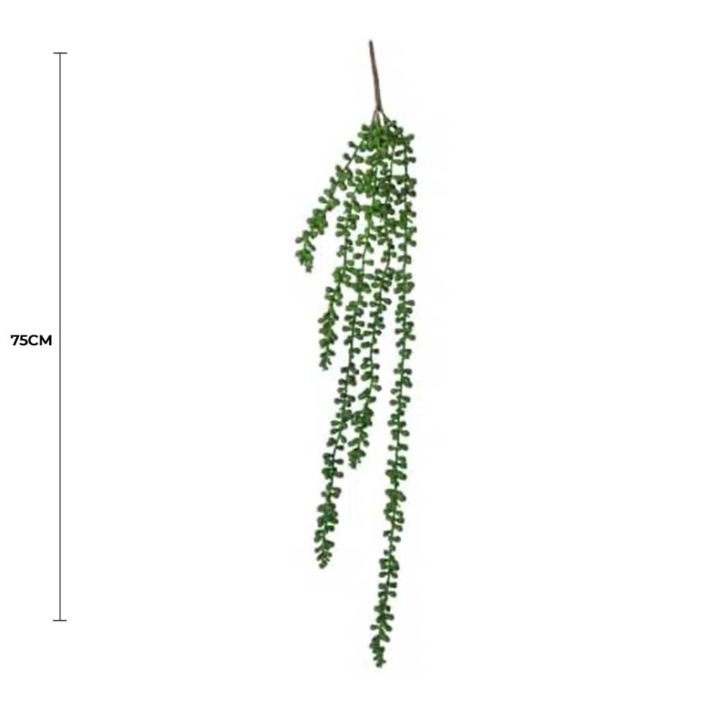 Hanging Succulent String Of Pearl Beads 75cm V637-DP1053454