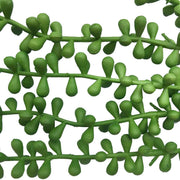 Hanging Succulent String Of Pearl Beads 75cm V637-DP1053454