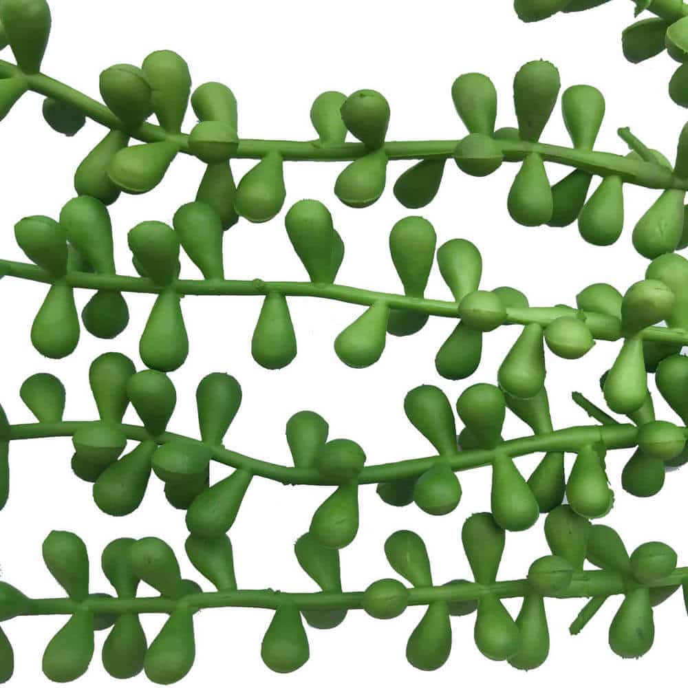 Hanging Succulent String Of Pearl Beads 75cm V637-DP1053454