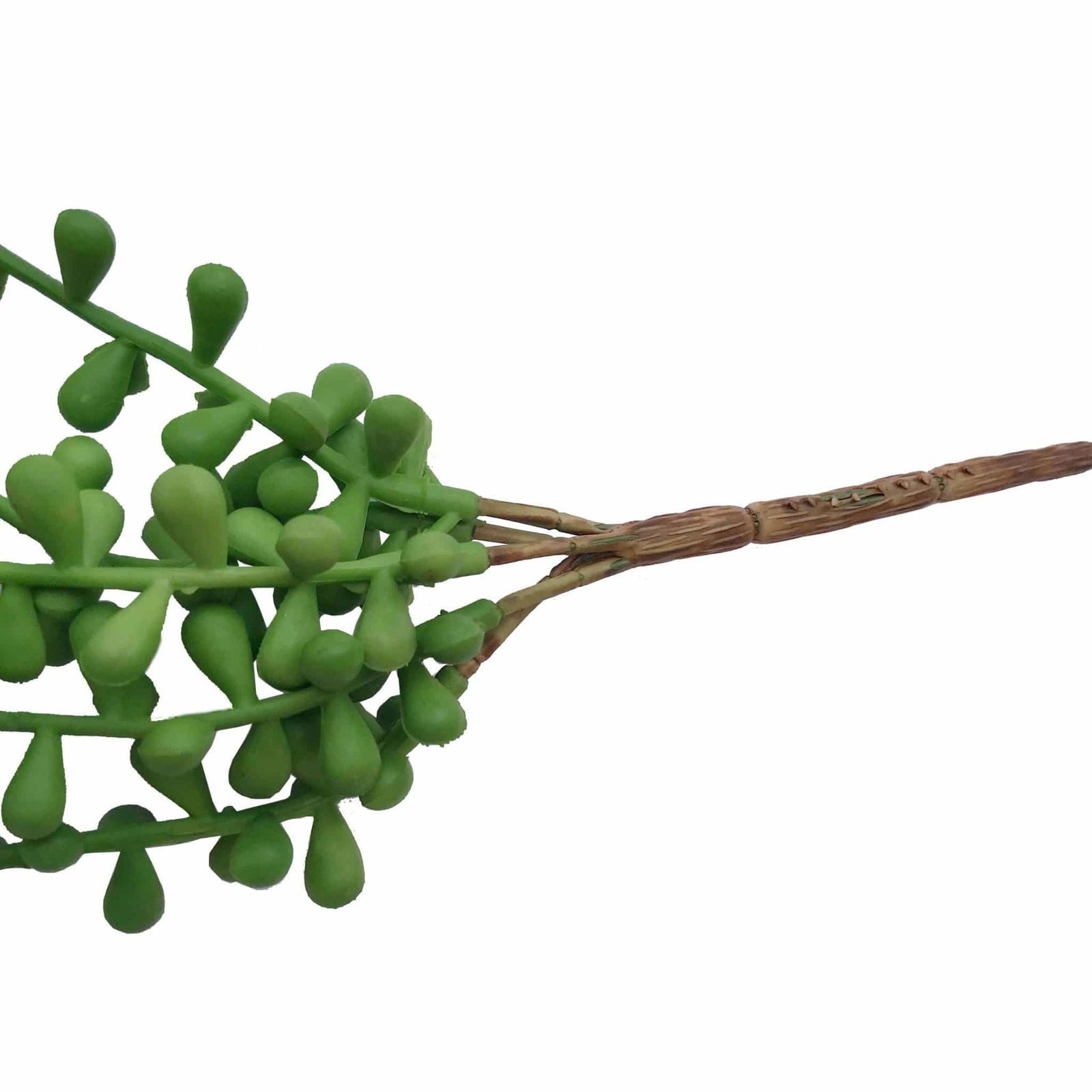 Hanging Succulent String Of Pearl Beads 75cm V637-DP1053454