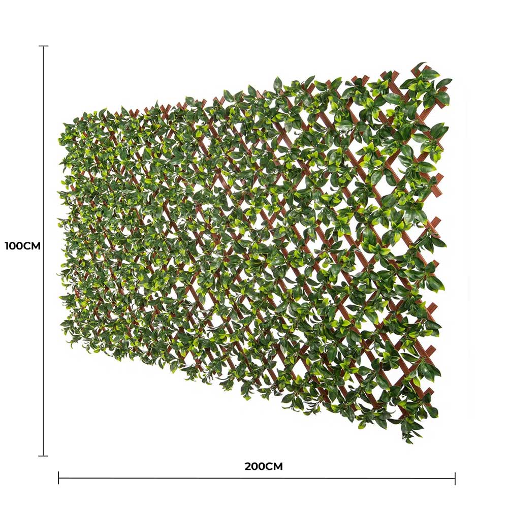 Premium Jasmine Artificial Hedge Extendable Trellis / Screen 2 Meter By 1 Meter UV Resistant (PVC) V637-DP10786514
