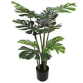 Split Philodendron Monstera Deliciosa (Split Leaf) 120cm V637-DP1089085