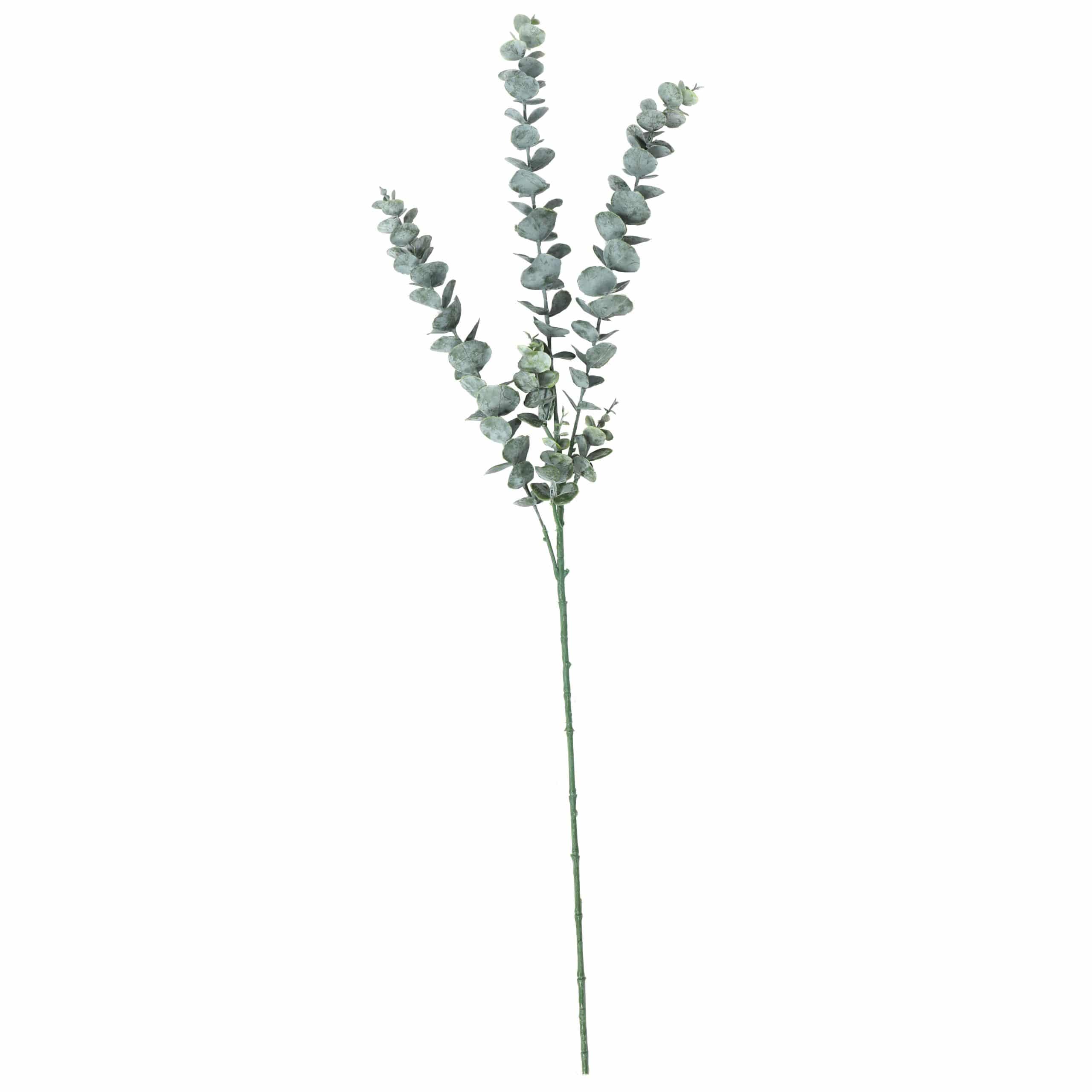 Long Artificial Eucalyptus Stem 77cm V637-DP1094756