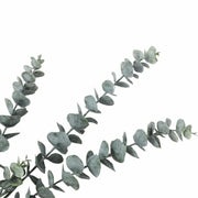 Long Artificial Eucalyptus Stem 77cm V637-DP1094756