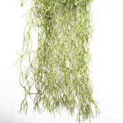 Artificial Air Plant / Spanish Moss (Old Man Beard) 60cm V637-DP1097763