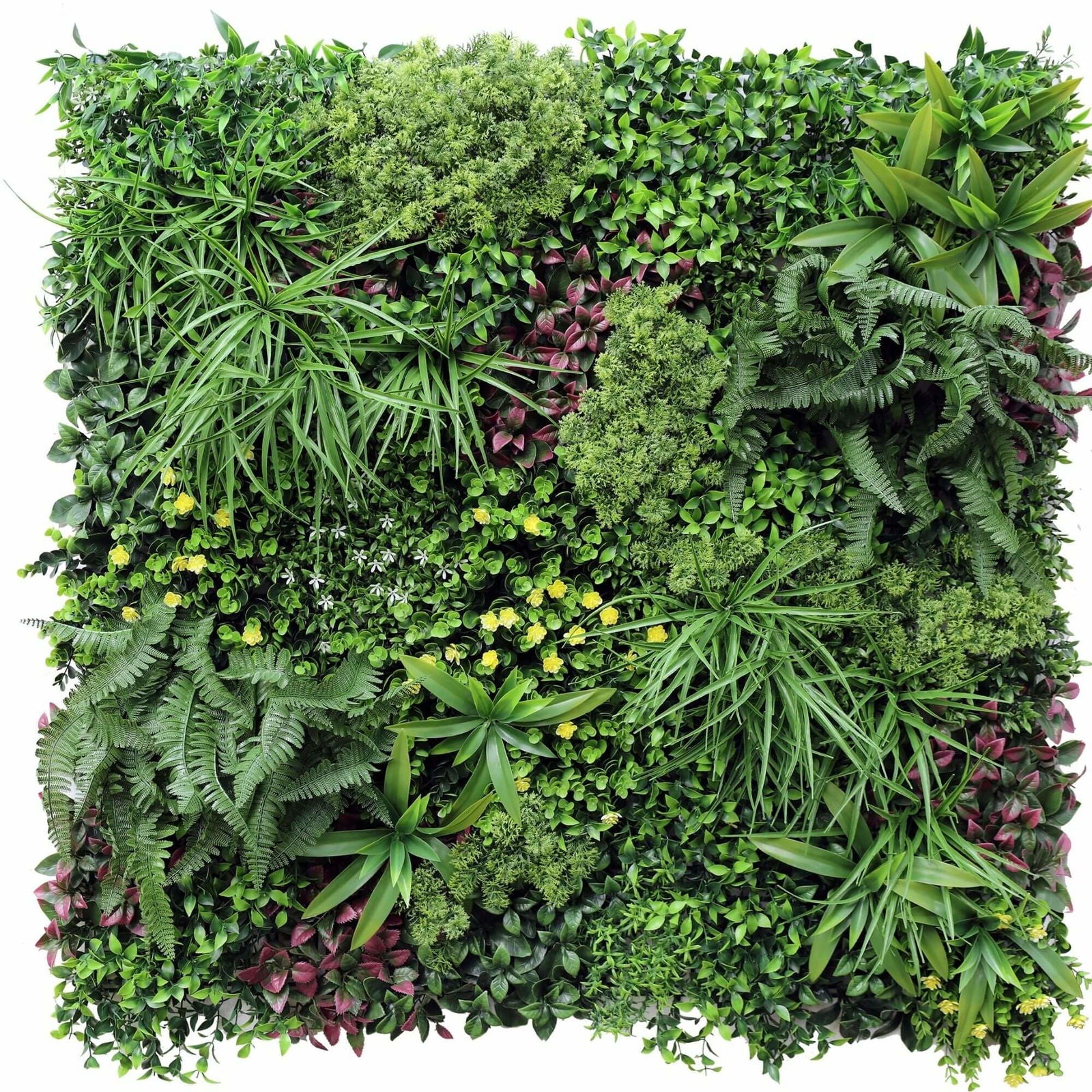 Luxury Country Fern Recycled Vertical Garden / Green Wall UV Resistant 100cm X 100cm V637-DP1097773-1