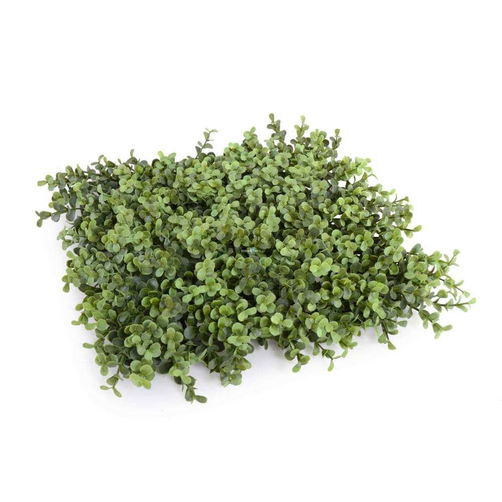 Deluxe Portable Buxus Hedge UV Resistant 100cm Long x 200cm High V637-DP1107975