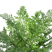 Faux Maiden Hair Fern Stem 40cm V637-DP1128544