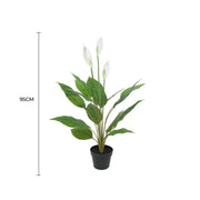Artificial Flowering White Peace Lily / Calla Lily 95cm V637-DP1128560