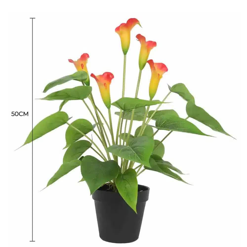 Artificial Flowering White & Orange Peace Lily / Calla Lily Plant 50cm V637-DP1128563