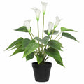 Artificial Flowering White Peace Lily / Calla Lily Plant 50cm V637-DP1128565