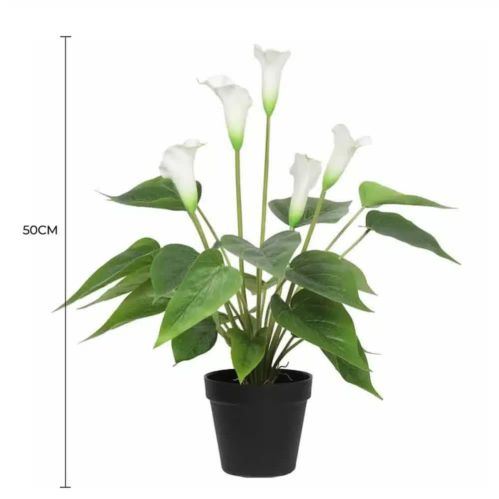 Artificial Flowering White Peace Lily / Calla Lily Plant 50cm V637-DP1128565