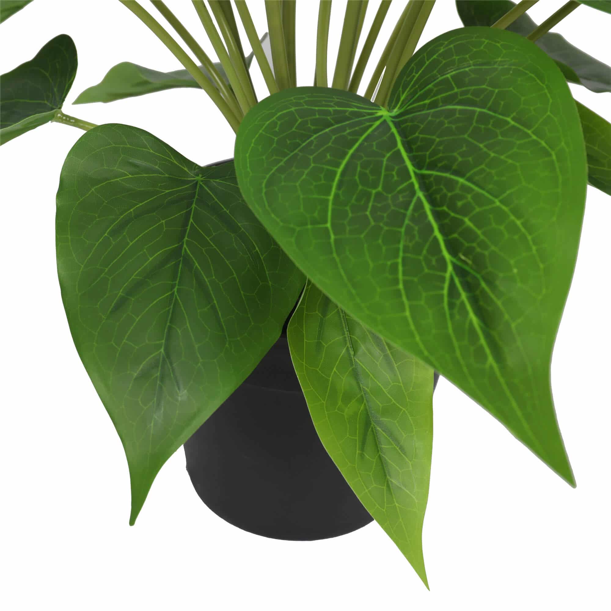Artificial Flowering White Peace Lily / Calla Lily Plant 50cm V637-DP1128565