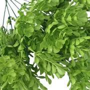 Vivid Green Wide Eucalyptus Plant 32cm UV Resistant V637-DP1140204