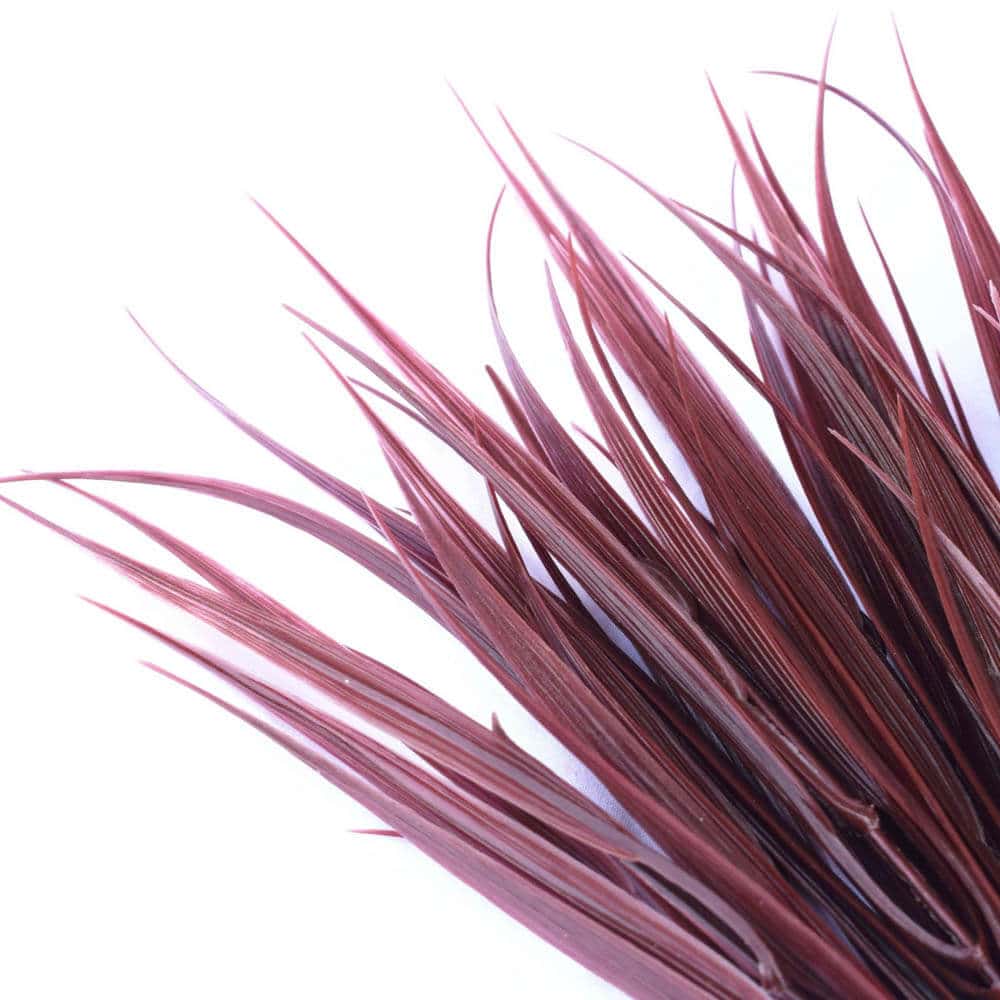 Dark Red Artificial Grass Stem 35cm Long UV Resistant V637-DP1140224