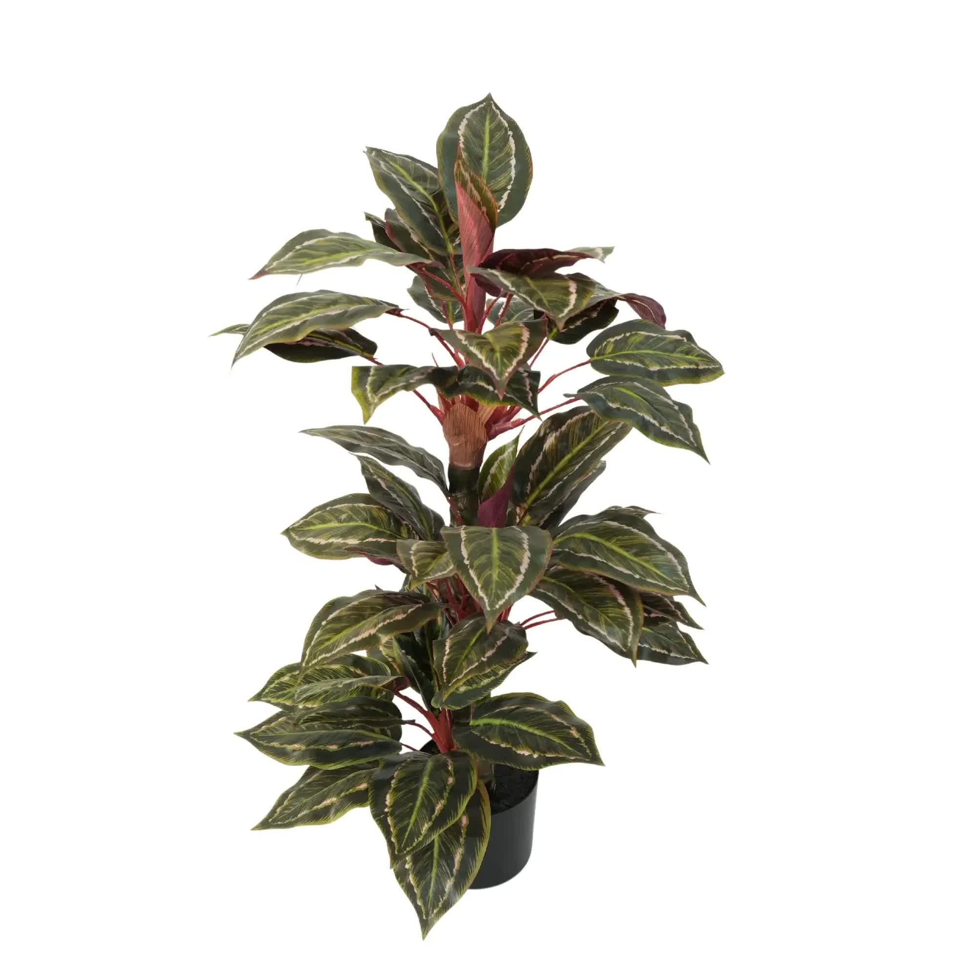 Artificial Wide Leaf Cordyline Plant 90cm V637-DP1151507