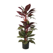 Artificial Wide Leaf Cordyline Plant 90cm V637-DP1151507