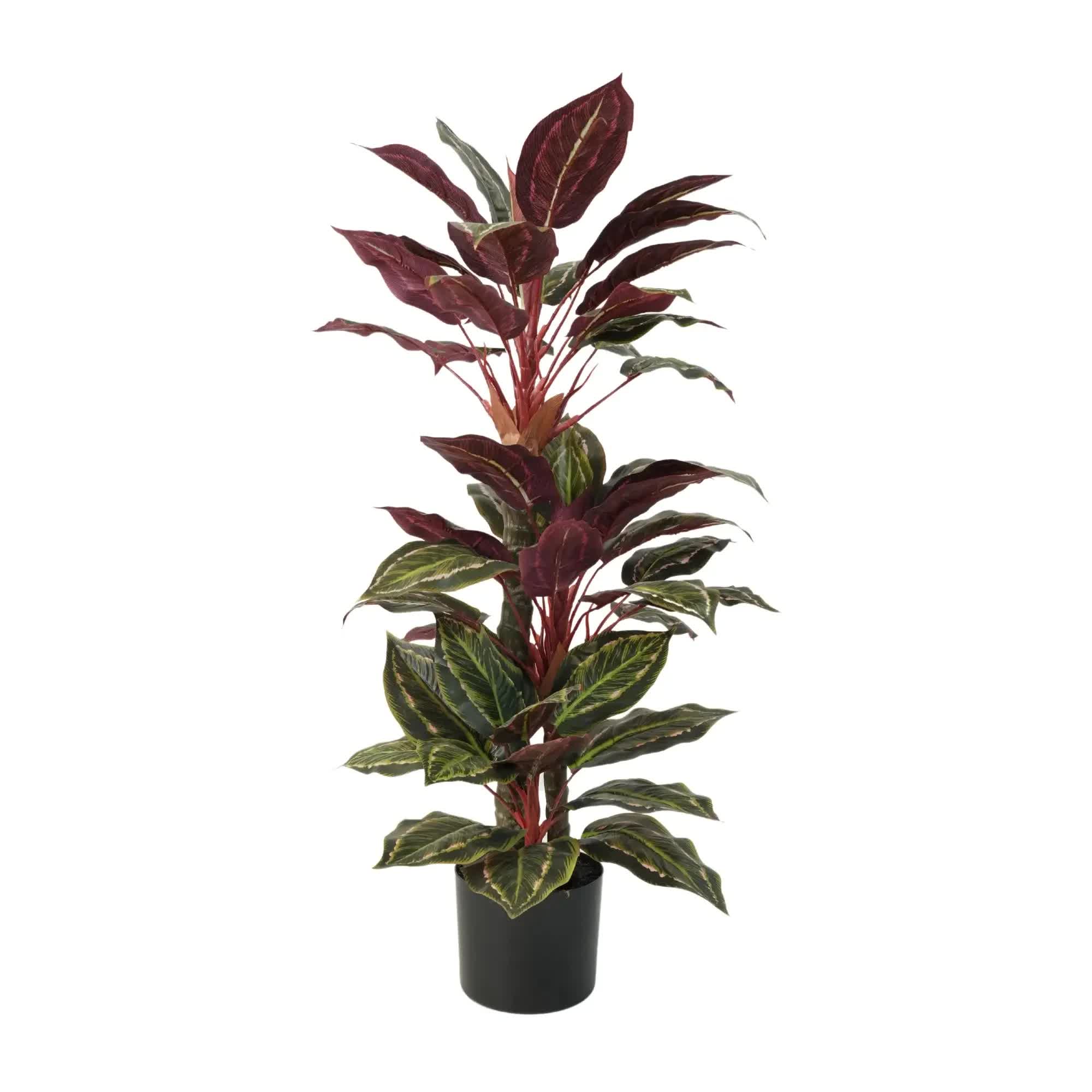 Artificial Wide Leaf Cordyline Plant 90cm V637-DP1151507