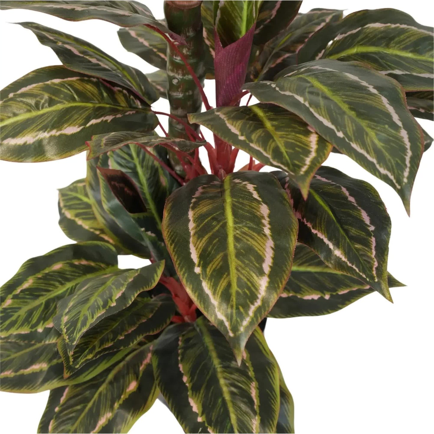 Artificial Wide Leaf Cordyline Plant 90cm V637-DP1151507