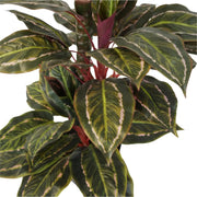 Artificial Wide Leaf Cordyline Plant 90cm V637-DP1151507