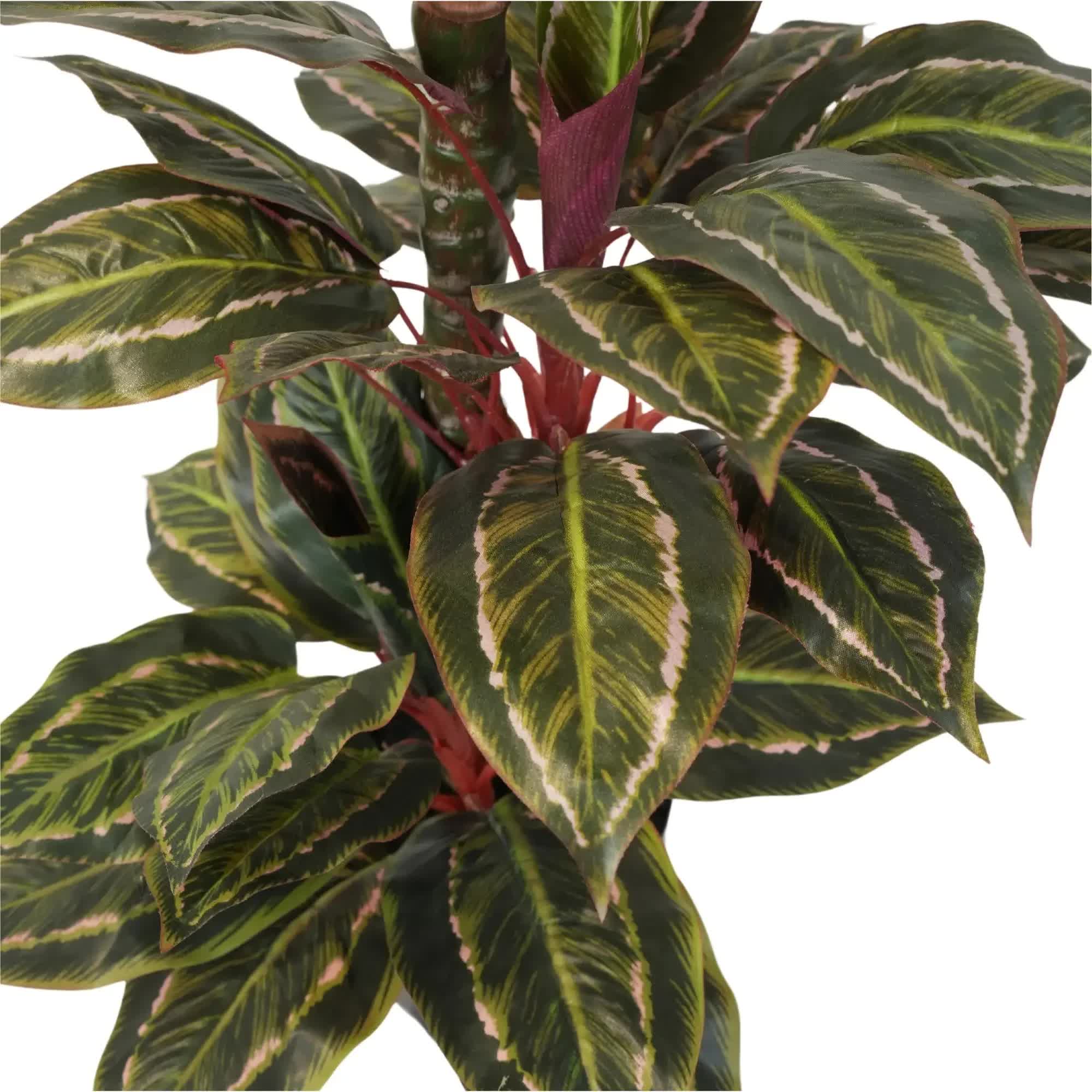 Artificial Wide Leaf Cordyline Plant 90cm V637-DP1151507