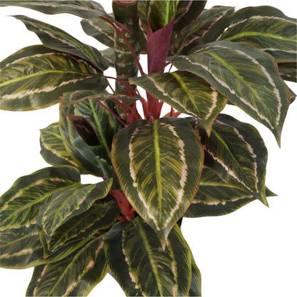 Artificial Wide Leaf Cordyline Plant 90cm V637-DP1151507