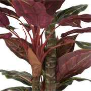 Artificial Wide Leaf Cordyline Plant 90cm V637-DP1151507