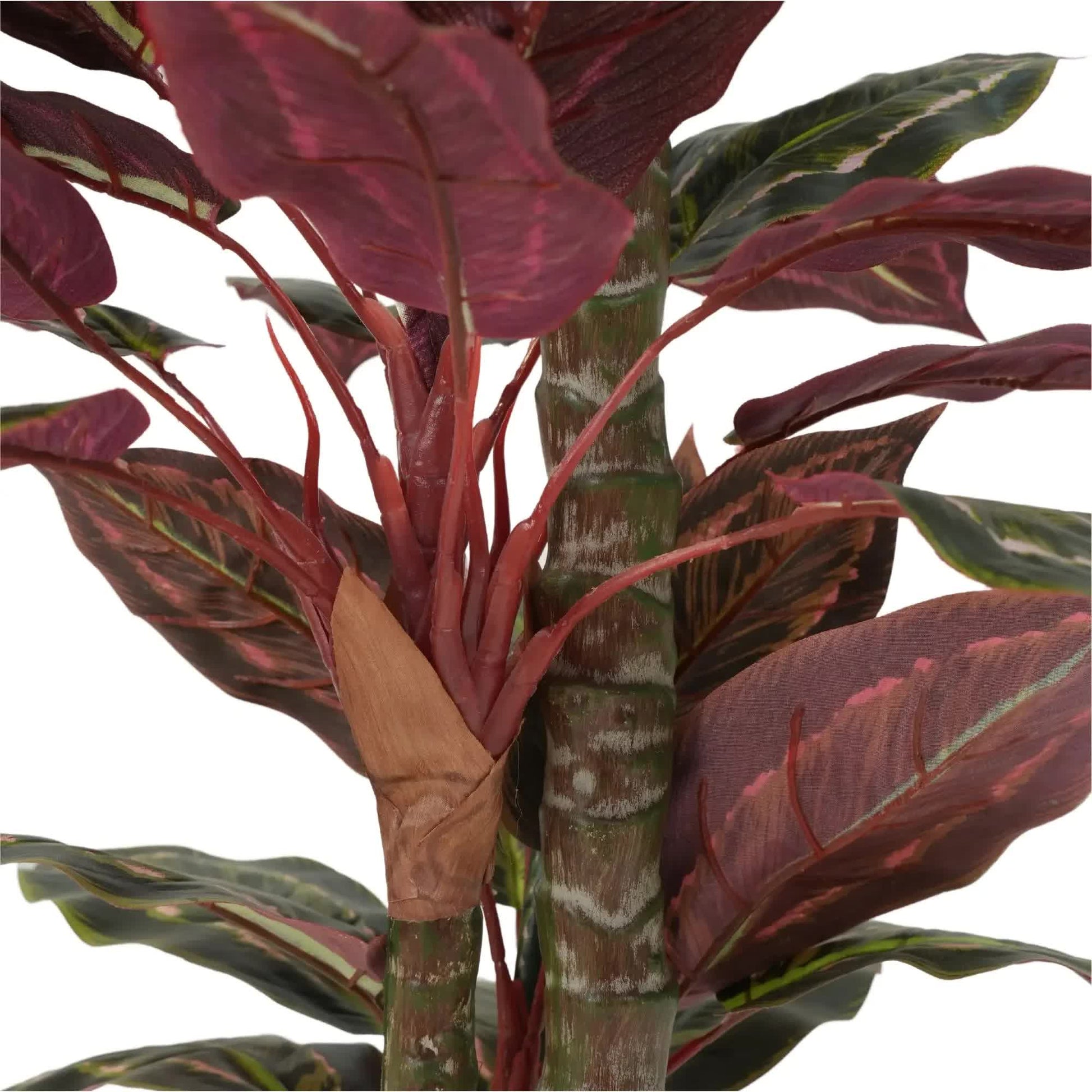 Artificial Wide Leaf Cordyline Plant 90cm V637-DP1151507