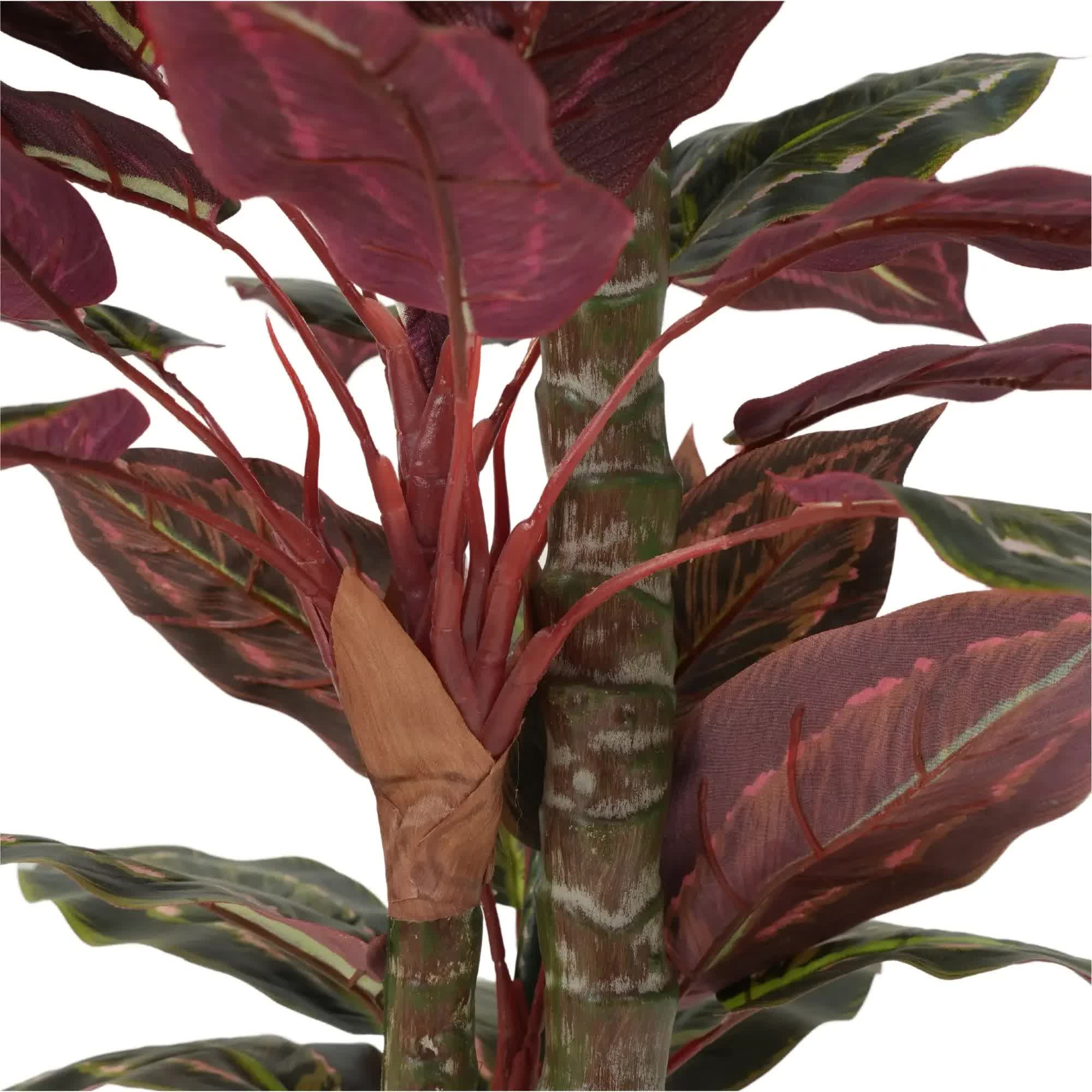 Artificial Wide Leaf Cordyline Plant 90cm V637-DP1151507