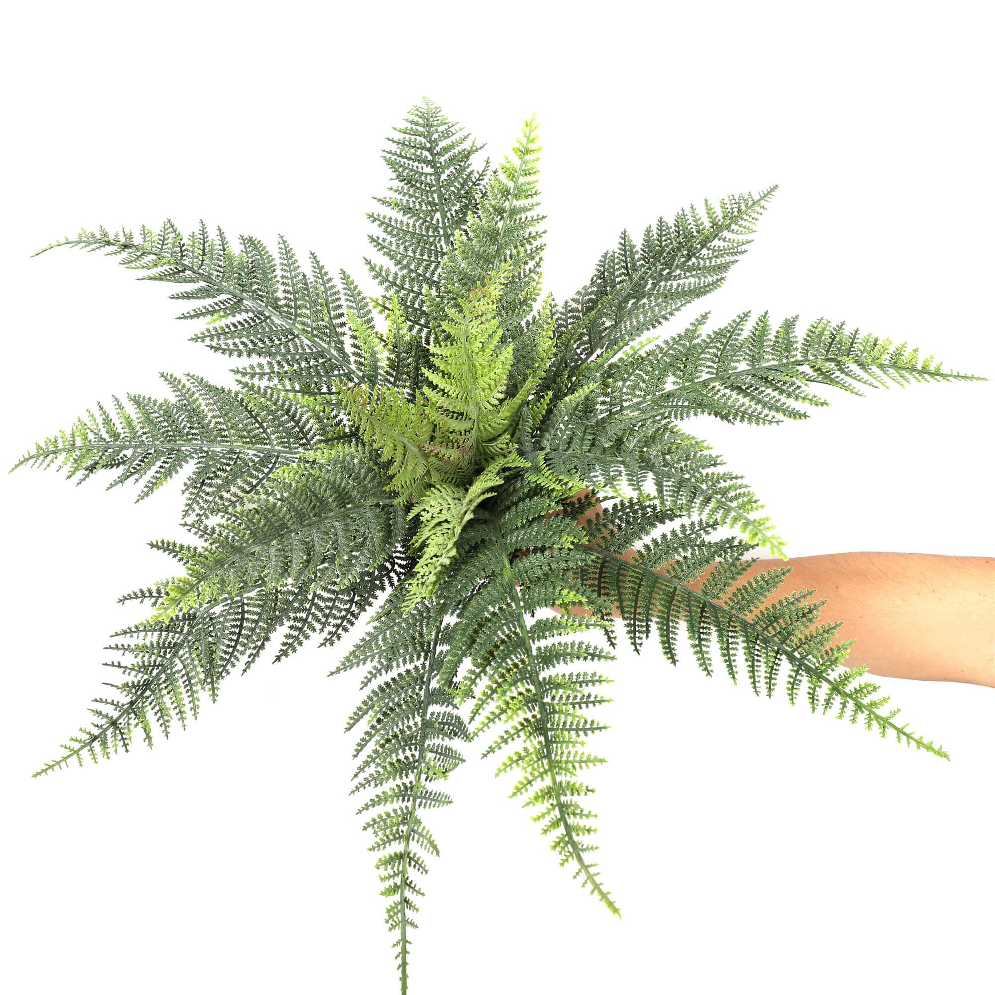 Premium Artificial Australian Fern UV Resistant 60cm V637-DP1151678