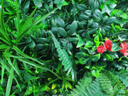 Elegant Red Rose Vertical Garden / Green Wall UV Resistant Sample V637-DP1156304