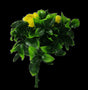 Flowering Yellow Rose Stem UV Resistant 30cm V637-DP1156492