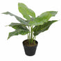Artificial Potted Taro Plant / Elephant Ear 55cm V637-DP1158143