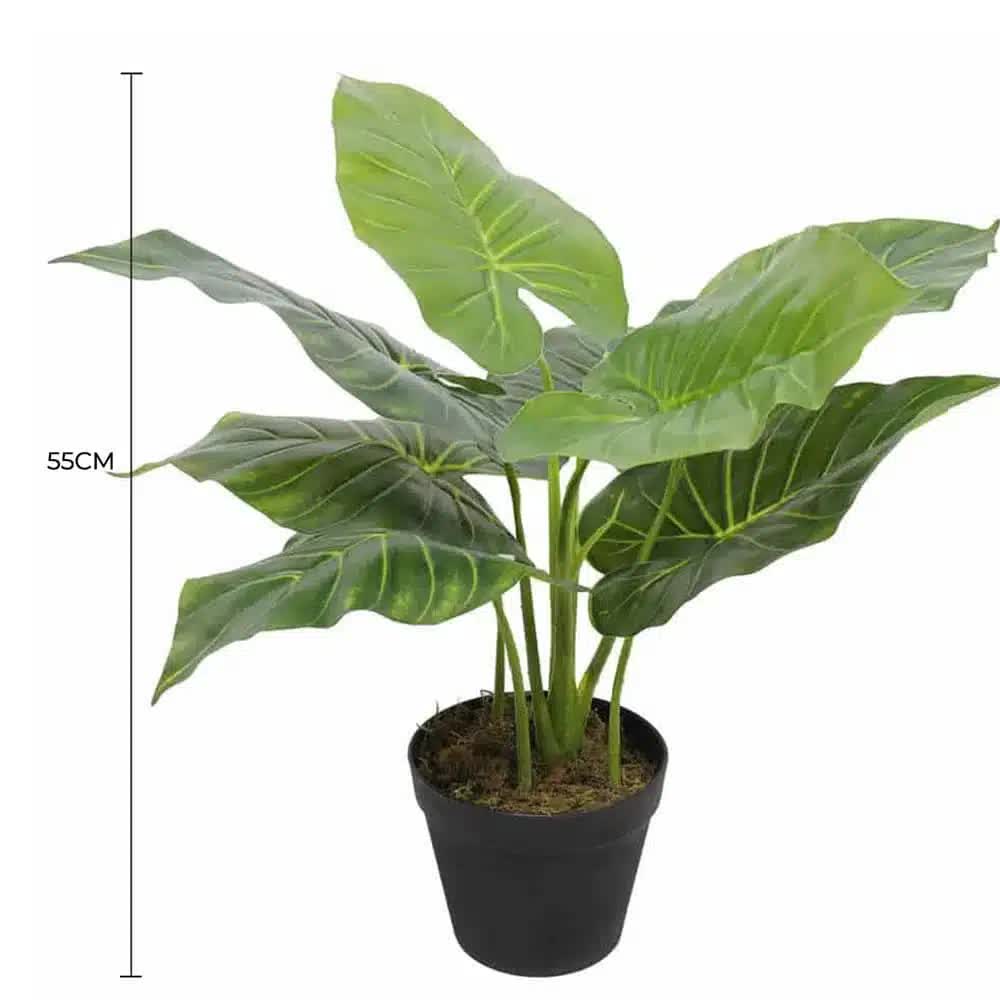 Artificial Potted Taro Plant / Elephant Ear 55cm V637-DP1158143