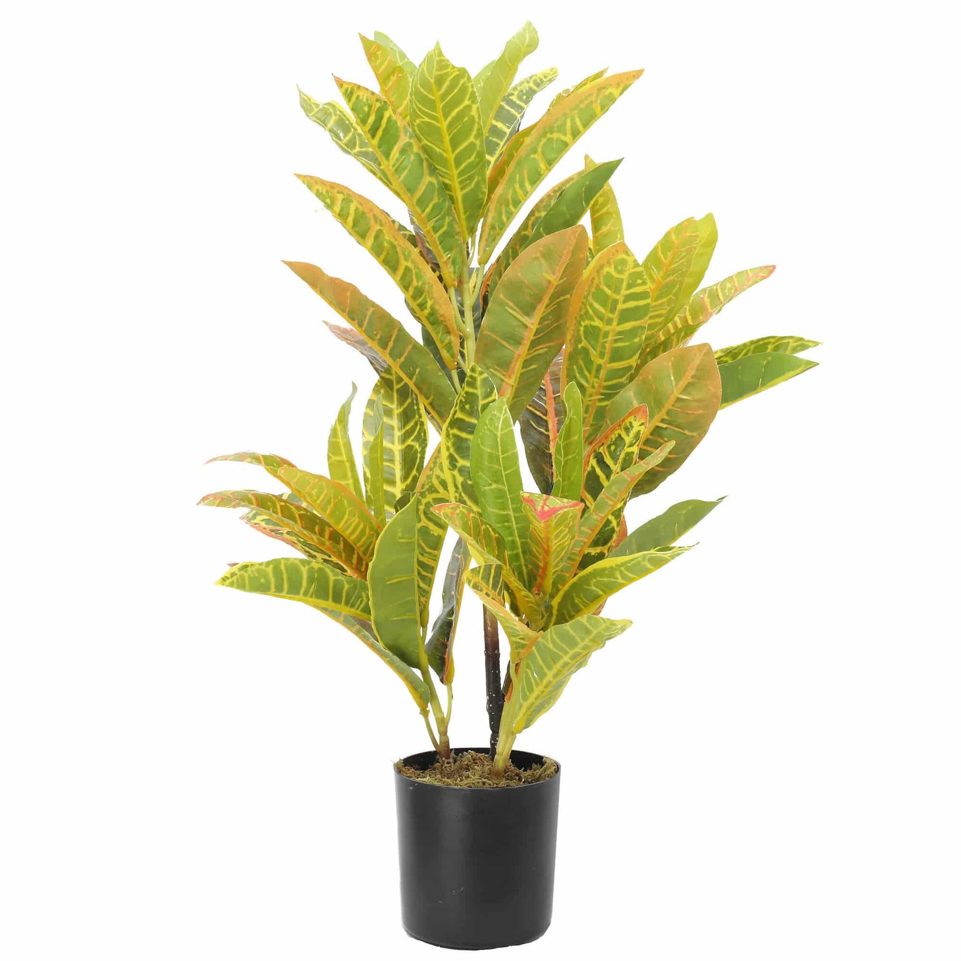 Artificial Potted Flaming Zebra (Codiaeum variegatum / crotons) 55cm V637-DP1158149