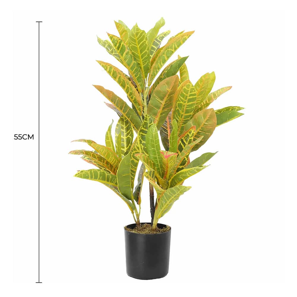 Artificial Potted Flaming Zebra (Codiaeum variegatum / crotons) 55cm V637-DP1158149