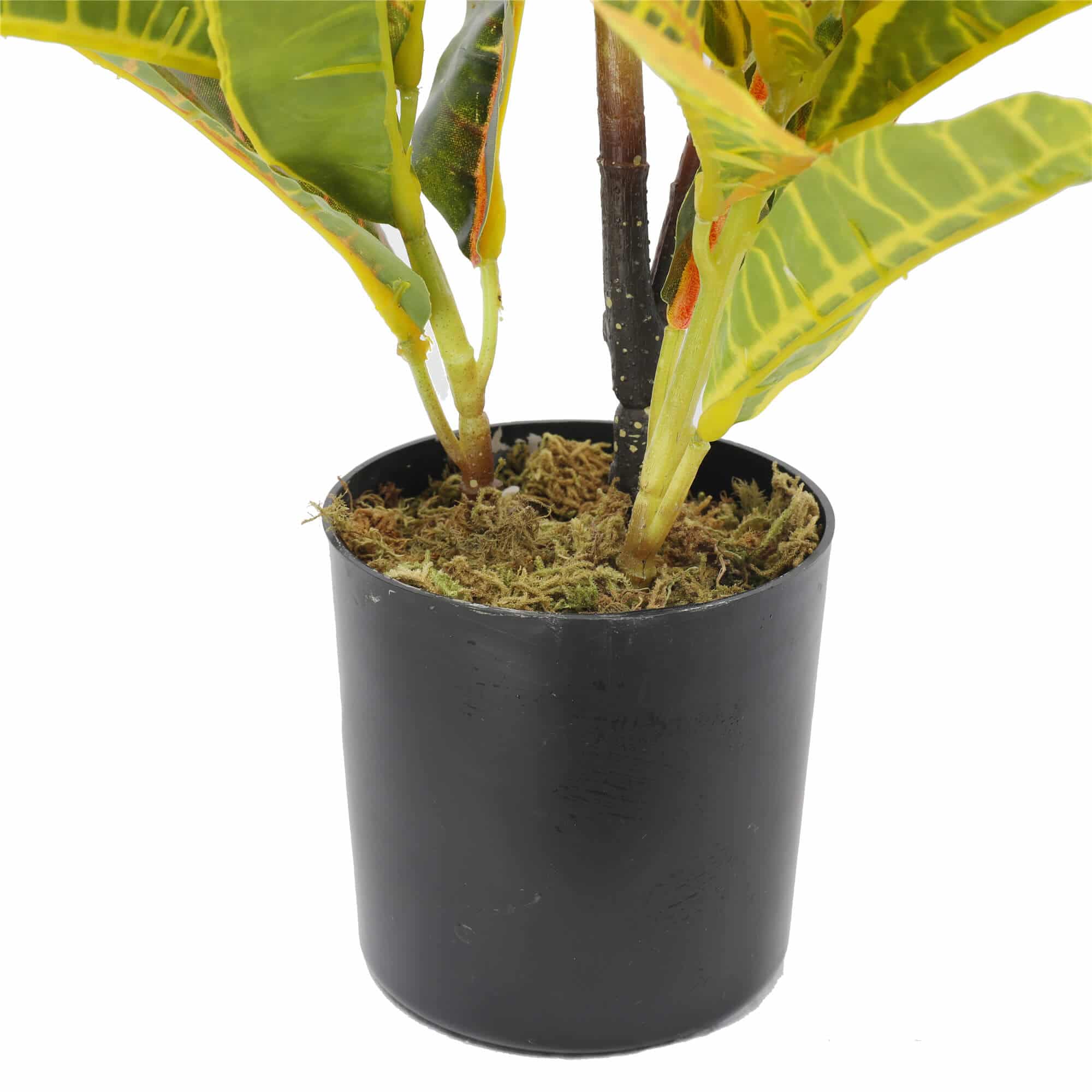 Artificial Potted Flaming Zebra (Codiaeum variegatum / crotons) 55cm V637-DP1158149