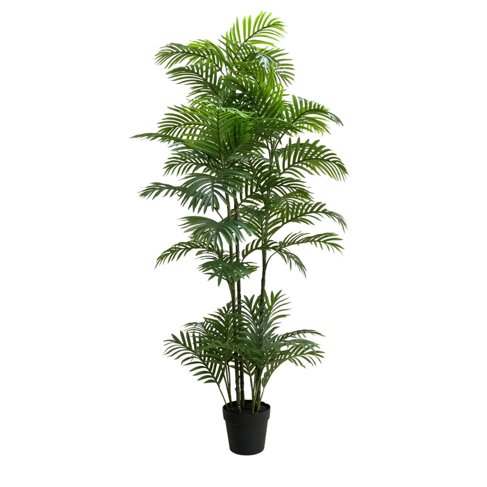 Premium Artificial Potted Multi-trunk Fan Palm 180cm V637-DP1158155