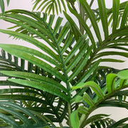 Premium Artificial Potted Multi-trunk Fan Palm 180cm V637-DP1158155