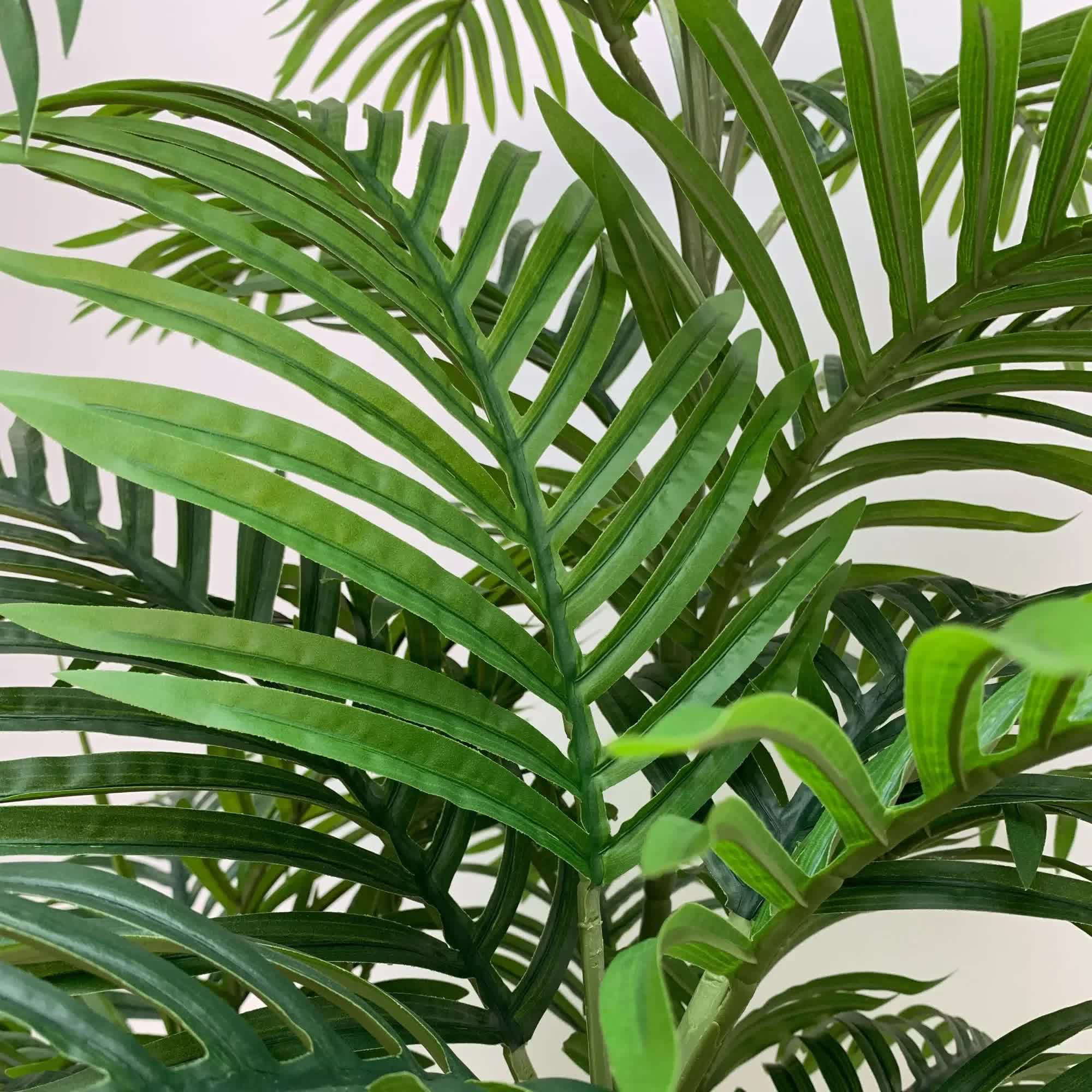 Premium Artificial Potted Multi-trunk Fan Palm 180cm V637-DP1158155