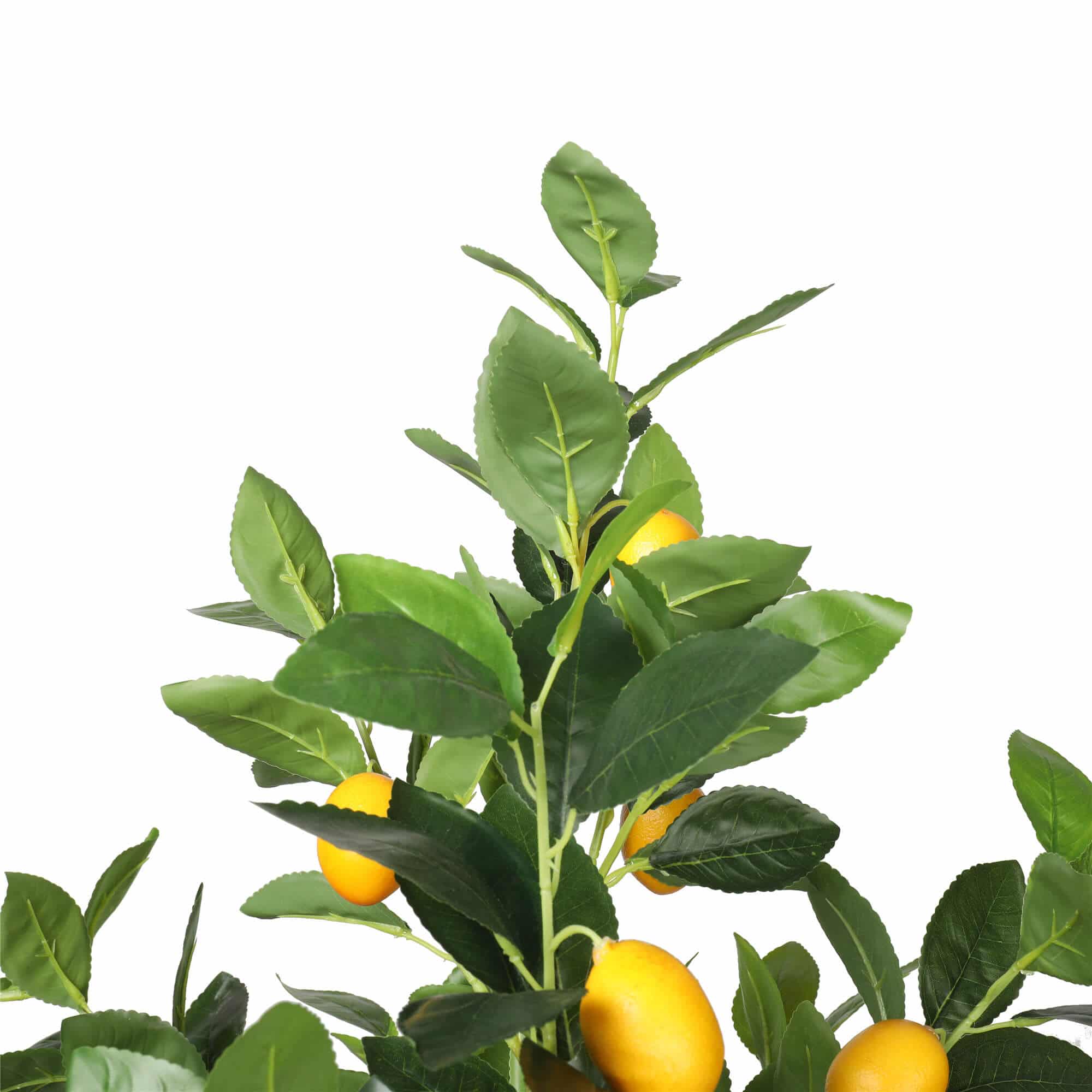Artificial Lemon Tree (Potted) with Lemons 150cm V637-DP1158158
