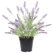 Artificial Lavender Plant 40cm V637-DP1158159