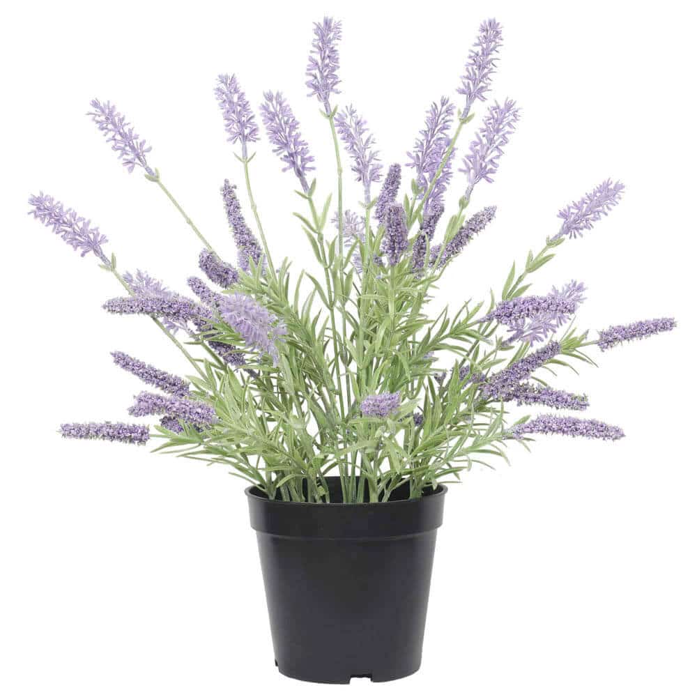 Artificial Lavender Plant 40cm V637-DP1158159