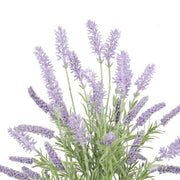 Artificial Lavender Plant 40cm V637-DP1158159