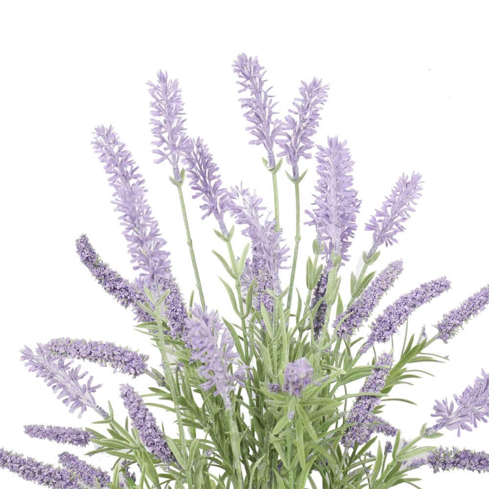 Artificial Lavender Plant 40cm V637-DP1158159
