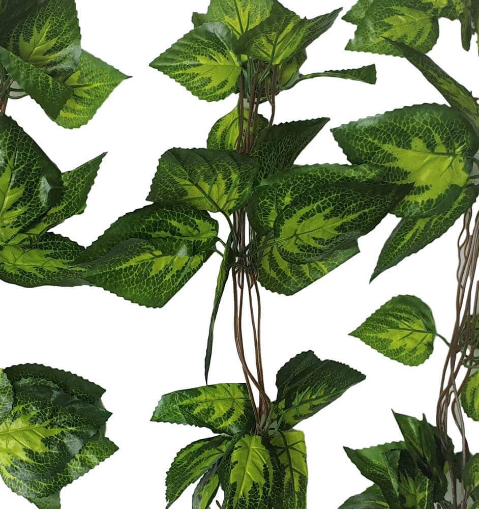 Artificial Pothos / Ivy Hanging Vines 260cm Each (5 pack) V637-DP1158896