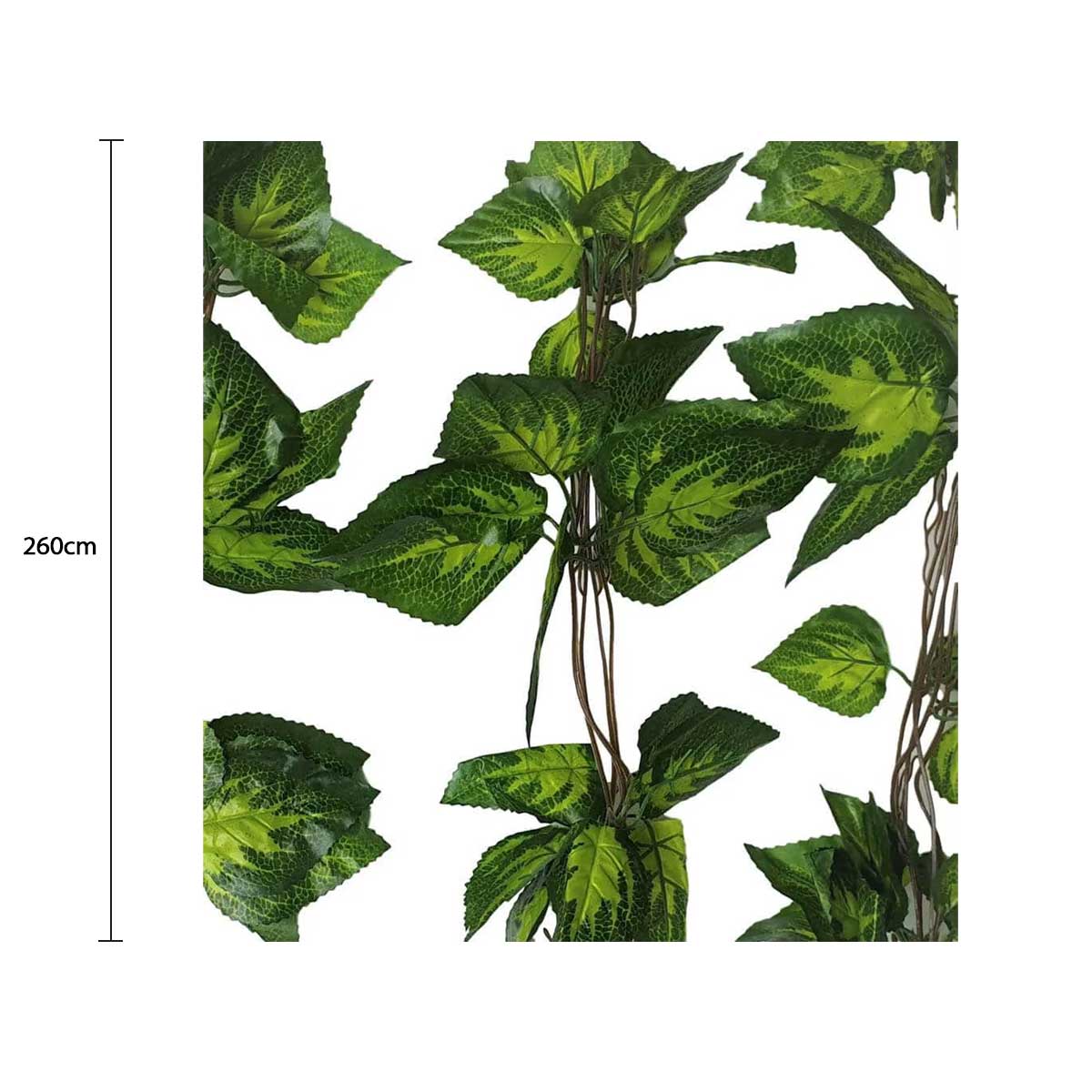 Artificial Pothos / Ivy Hanging Vines 260cm Each (5 pack) V637-DP1158896
