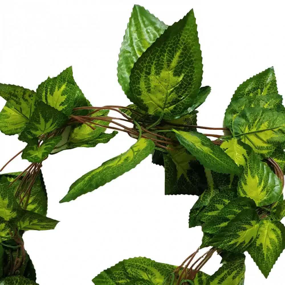 Artificial Pothos / Ivy Hanging Vines 260cm Each (5 pack) V637-DP1158896