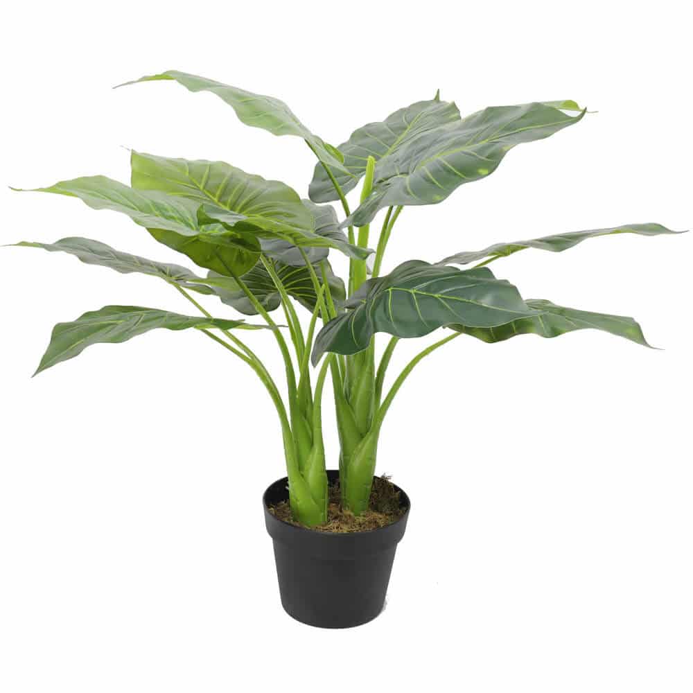 Artificial Potted Taro Plant / Elephant Ear 70cm V637-DP1159626