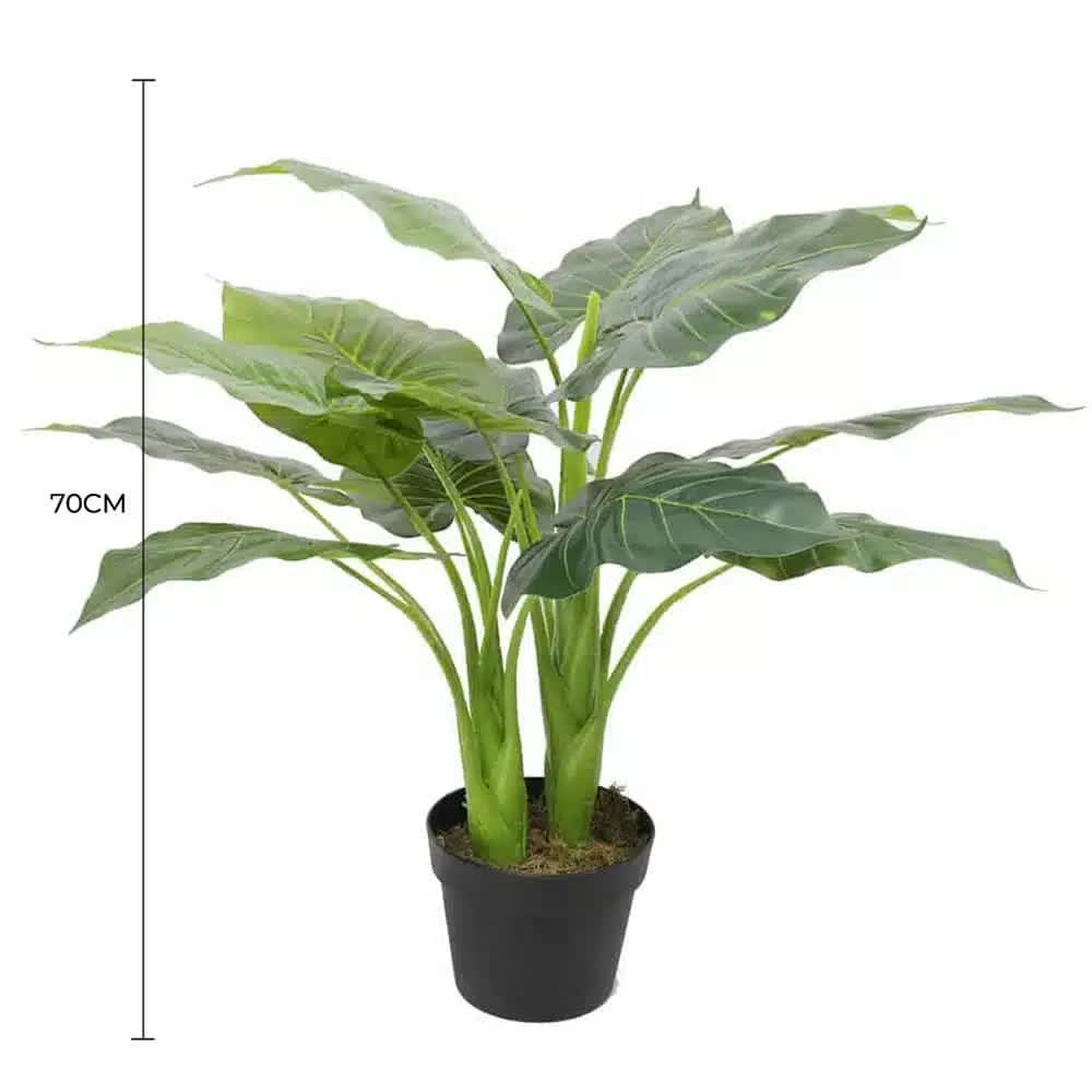 Artificial Potted Taro Plant / Elephant Ear 70cm V637-DP1159626